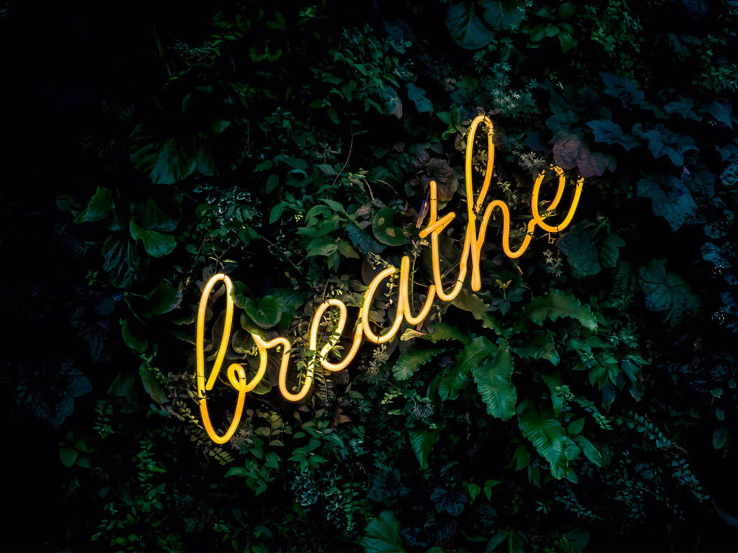 What Happens When You Inhale Essential Oils?