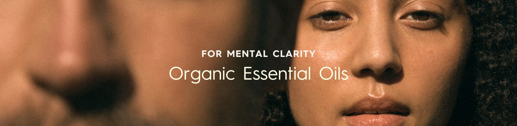 Black Chicken Remedies Essential Oils for Aromatherapy and Sleep